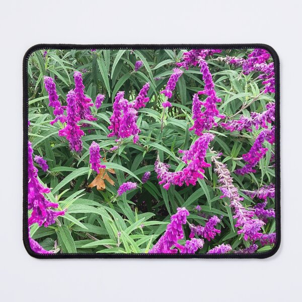 Item preview, puple scrub designed and sold by Pauline  Whitburn.