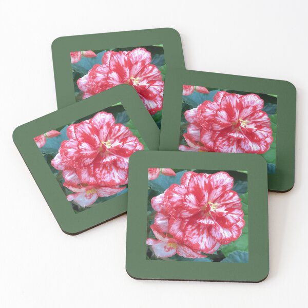 Item preview, white red begonia designed and sold by Pauline  Whitburn.