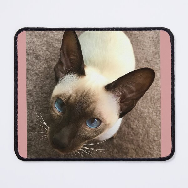 Item preview, Lexi the Siamese Cat designed and sold by Lofty72.