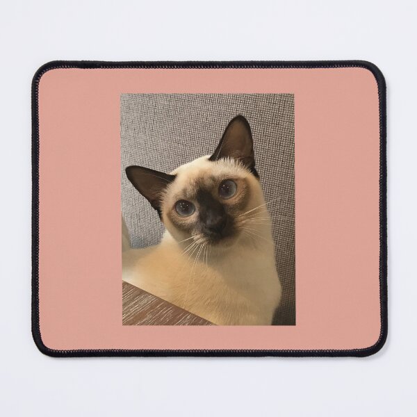 Artikelvorschau, Bella, die Tonkanesenkatze entworfen und verkauft von Lofty72.