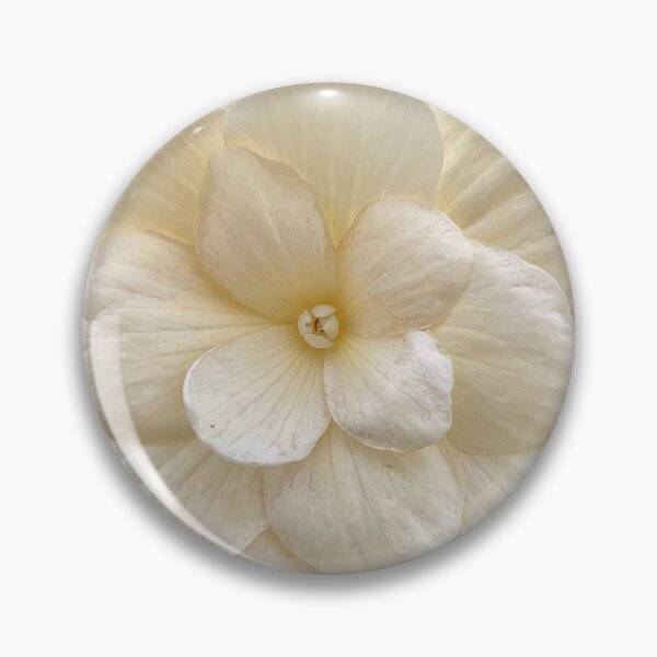 Item preview, white begonia front designed and sold by Pauline  Whitburn.