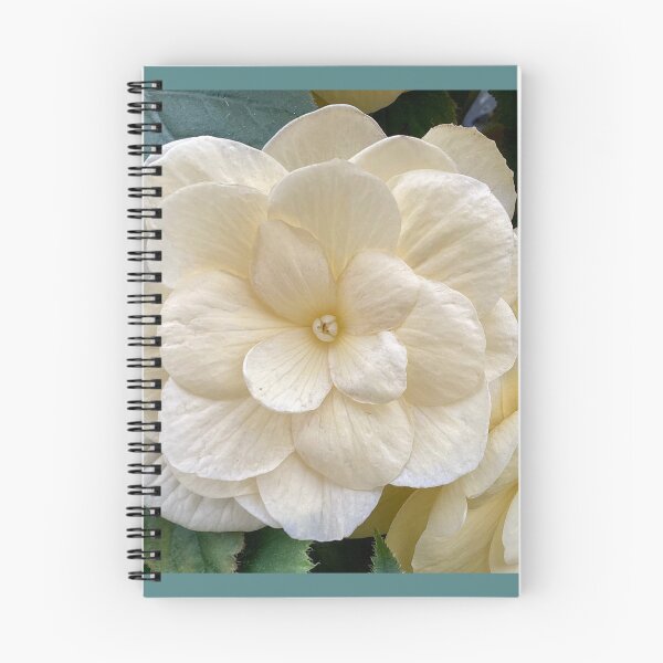 Item preview, white begonia front designed and sold by Pauline  Whitburn.