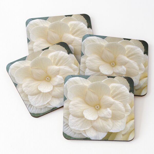 Item preview, white begonia front designed and sold by Pauline  Whitburn.