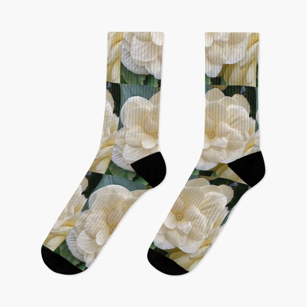 Item preview, white begonia front designed and sold by Pauline  Whitburn.