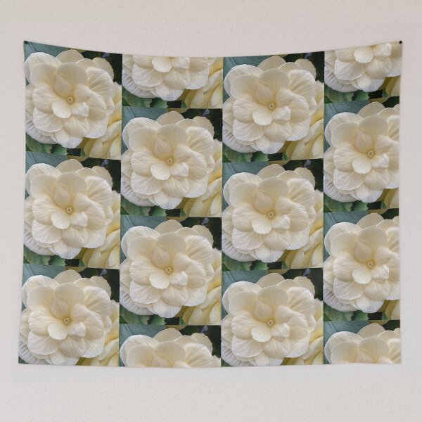 Item preview, white begonia front designed and sold by Pauline  Whitburn.