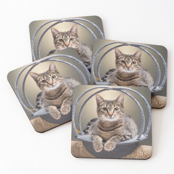 Item preview, Shrodinger 's Cat jump from spacetime box designed and sold by Einsteinshop.