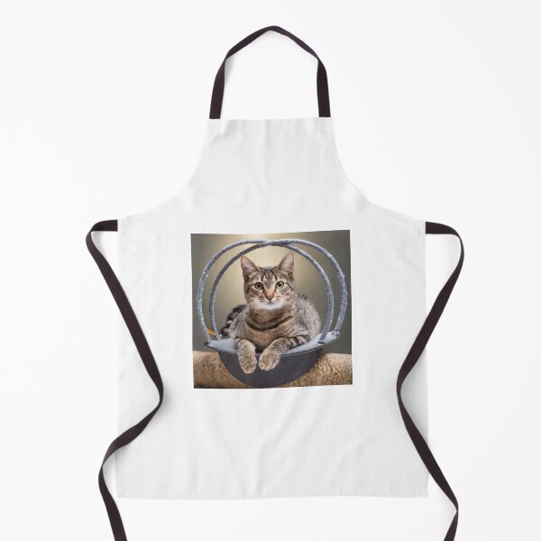 Item preview, Shrodinger 's Cat jump from spacetime box designed and sold by Einsteinshop.