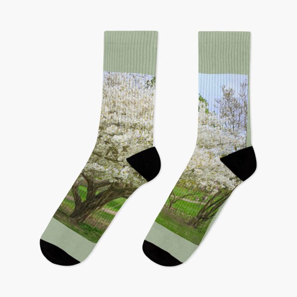 Item preview, Cherry Blossom Tree designed and sold by Alisonchambers2.