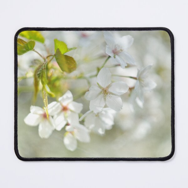 Item preview, White Cherry Blossom designed and sold by Alisonchambers2.