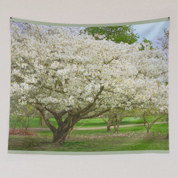 Item preview, Cherry Blossom Tree designed and sold by Alisonchambers2.