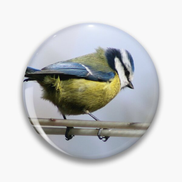 Item preview, Blue tit designed and sold by KathleenDawson.
