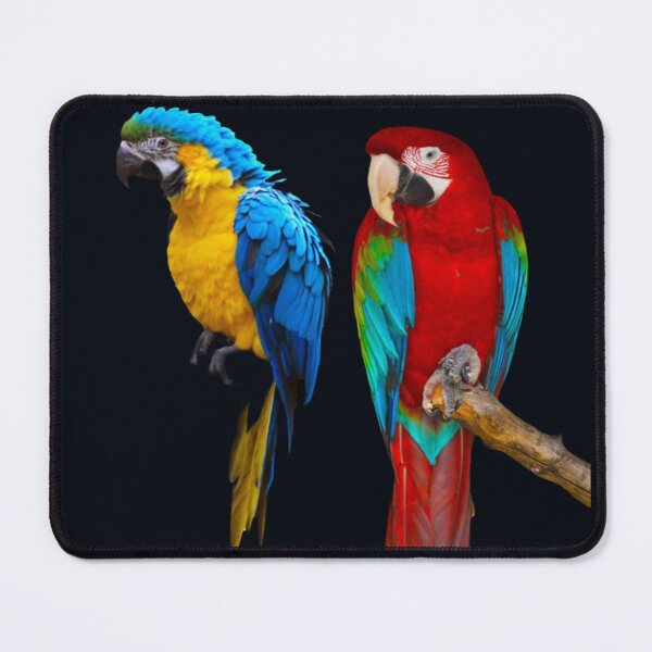 Item preview, Cute wise parrots designed and sold by KENSHOPKE.
