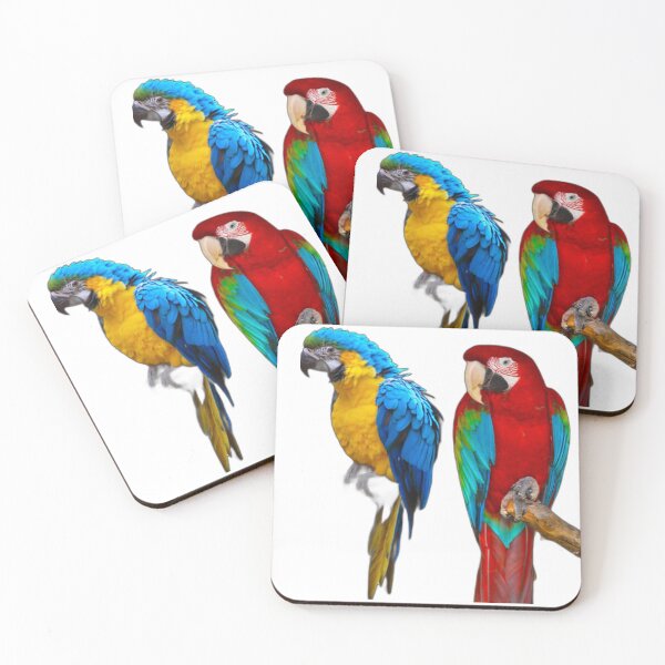 Item preview, Cute wise parrots designed and sold by KENSHOPKE.