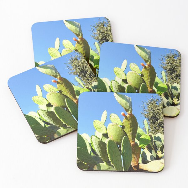 Item preview, Cactus Family Bush with a cactus fruit designed and sold by zeeposter.