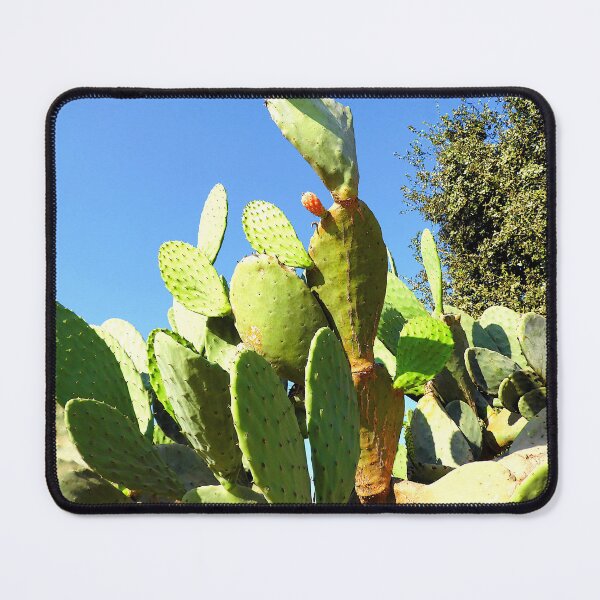 Item preview, Cactus Family Bush with a cactus fruit designed and sold by zeeposter.