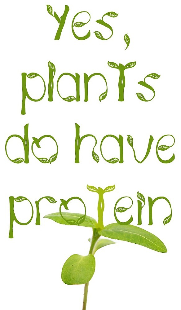 "Plant Protein "Yes, plants do have protein"" by "Plant Protein "Yes, plants do have protein"" by