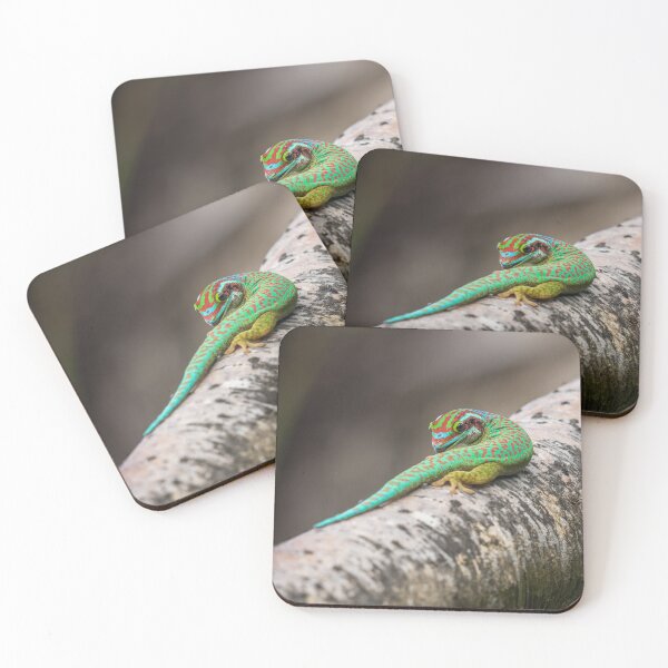 Item preview, Manapany Day Gecko designed and sold by Markus A. Roesch.