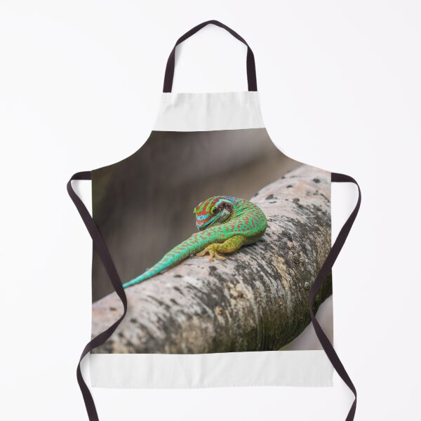 Item preview, Manapany Day Gecko designed and sold by Markus A. Roesch.