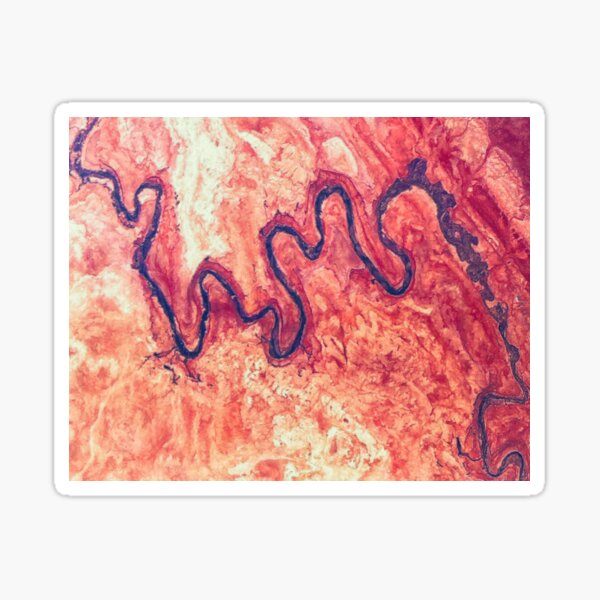 San Juan River Tributary Utah Aerial Landscape Sticker
