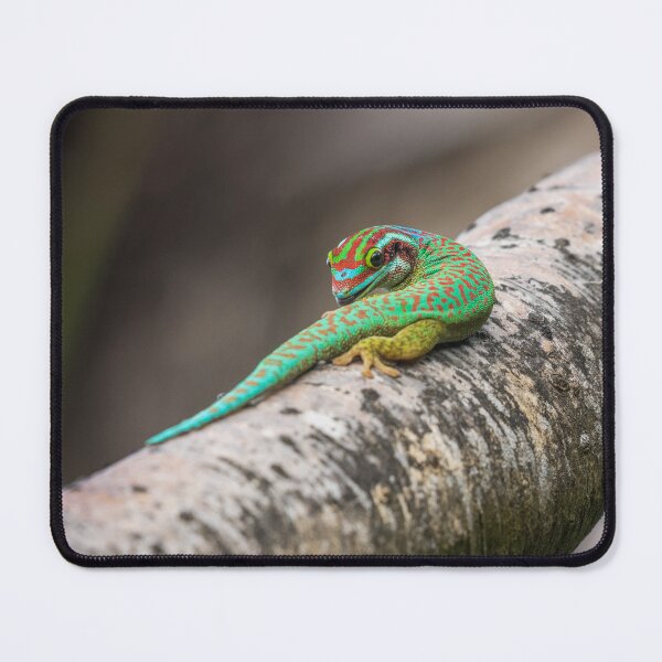 Item preview, Manapany Day Gecko designed and sold by Markus A. Roesch.