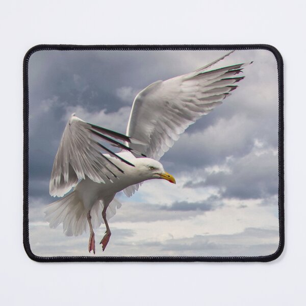 Item preview, Herring Gull designed and sold by FXST.