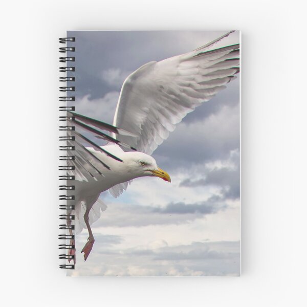 Item preview, Herring Gull designed and sold by FXST.