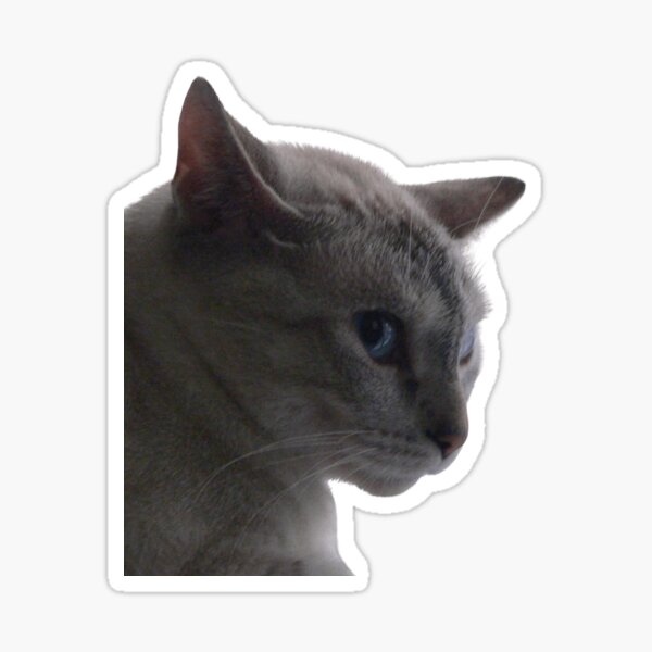 Kitty schlecht gelaunt (Kitty in a bad mood) Sticker