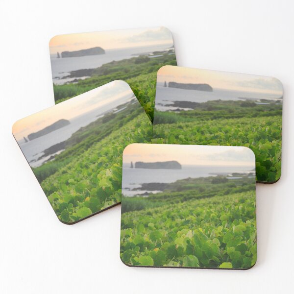Item preview, Grapevines and islet designed and sold by Gaspar Avila.