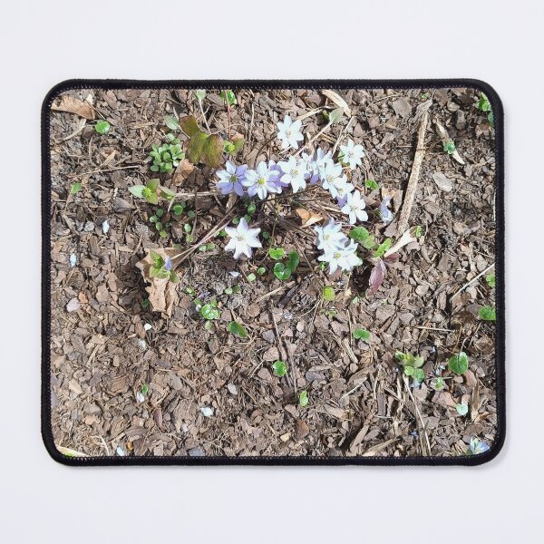Item preview, spring, flowers designed and sold by colorgallery11.