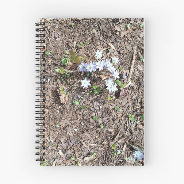 Item preview, spring, flowers designed and sold by colorgallery11.