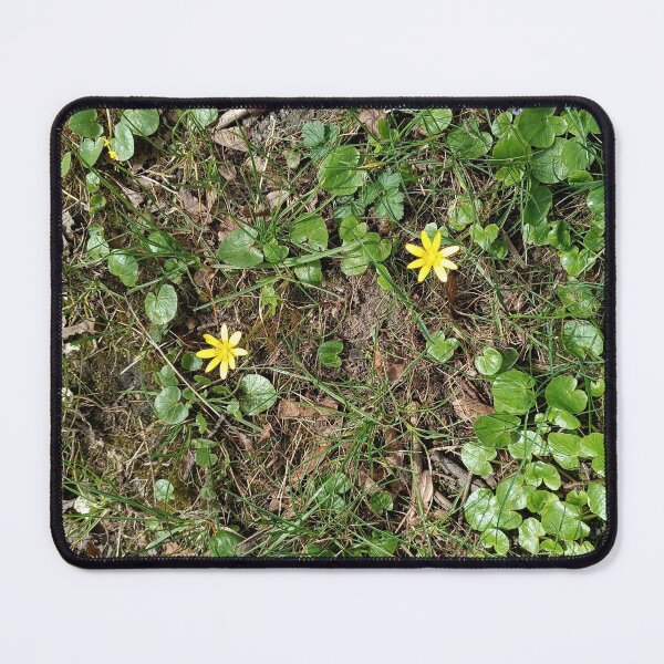 Item preview, spring, flowers, leaves designed and sold by colorgallery11.