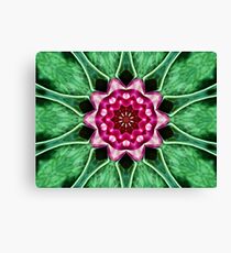 Water Lily Manipulation Canvas Print