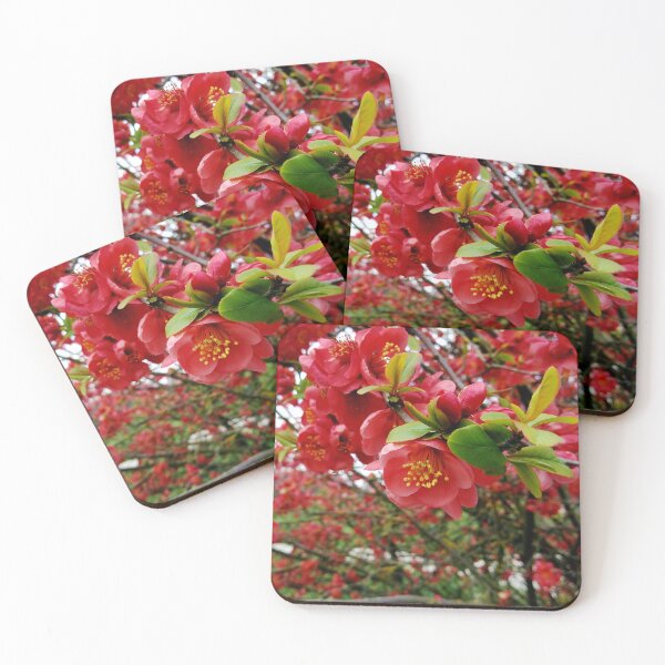 Item preview, Flowering Quince 3 original artwork designed and sold by paragonDesign28.