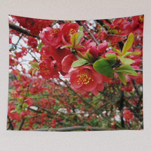 Item preview, Flowering Quince 3 original artwork designed and sold by paragonDesign28.