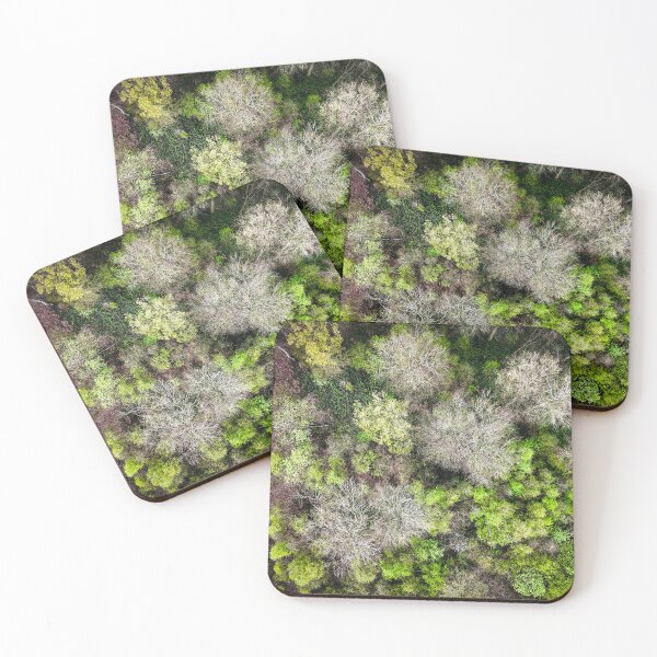 Item preview, Aerial view of the trees designed and sold by Anthony Hiorns.
