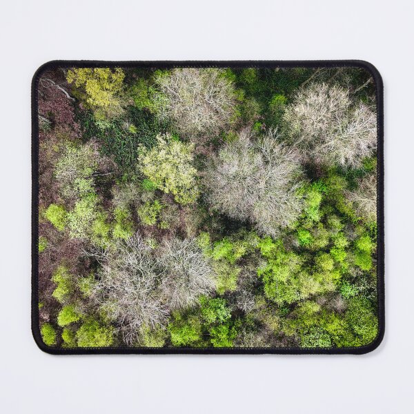 Item preview, Aerial view of the trees designed and sold by Anthony Hiorns.