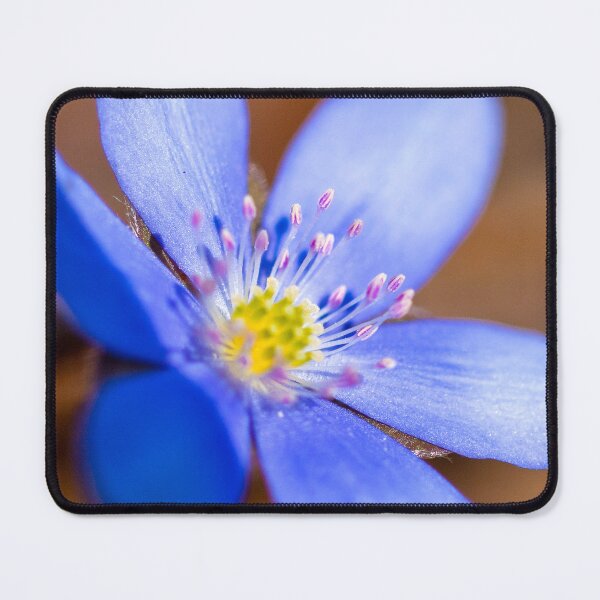 Item preview, Purple liverflower designed and sold by Gabszab.