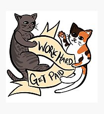 Work Hard, Get Paid Cats Photographic Print