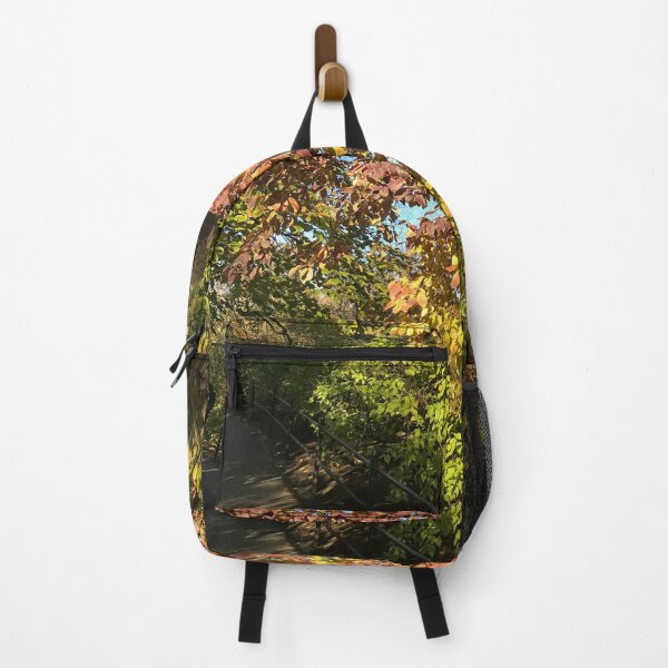 Item preview, Beautiful Autumn Colors in Central Park designed and sold by OutOfTordinary.