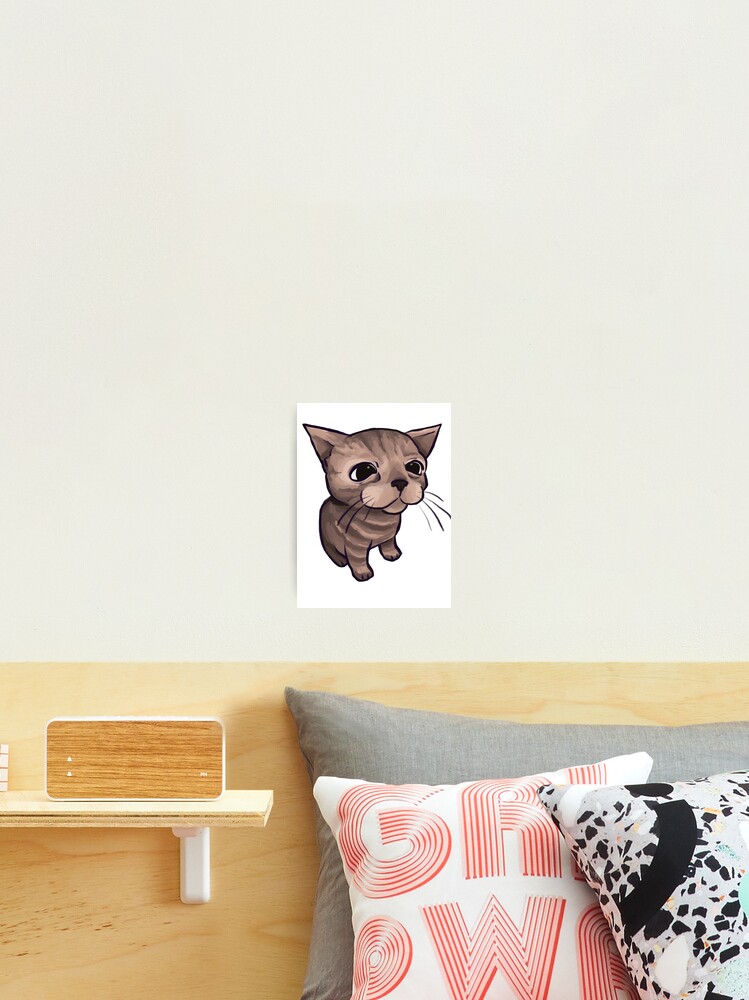 Thumbnail 2 of 3, Photographic Print, Silly cat designed and sold by Rover-Rotten.