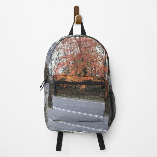 Item preview, Brightly colored trees / leaves in Central Park designed and sold by OutOfTordinary.