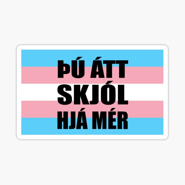 Item preview, Trans fáni - Þú átt skjól, heill designed and sold by Transvinir.