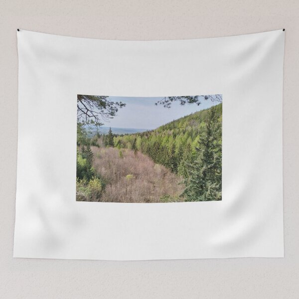 Item preview, Mountain landscape in Poland designed and sold by lusiakotowska.