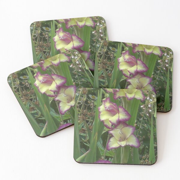 Item preview, Two-coloured Gladiolus designed and sold by lezvee.