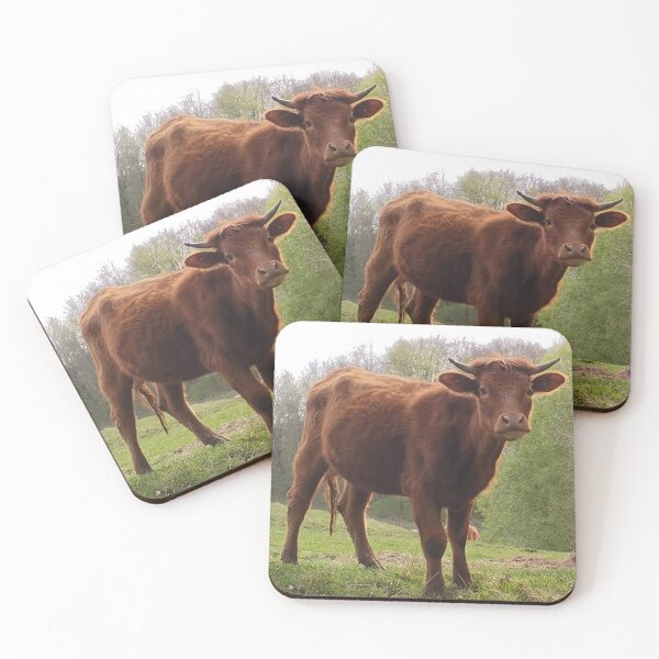 Item preview, Bull on a spring pasture designed and sold by lusiakotowska.