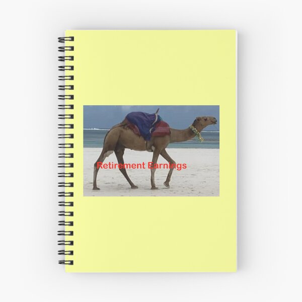 Item preview, Retirement Earnings designed and sold by annenambiro.