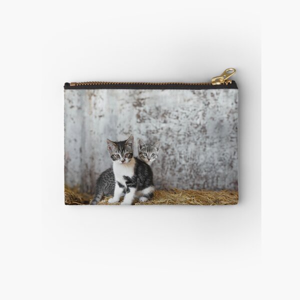 Item preview, Kittens in the Countryside: Adventures on the Hay Bale designed and sold by Elianne Turennout.