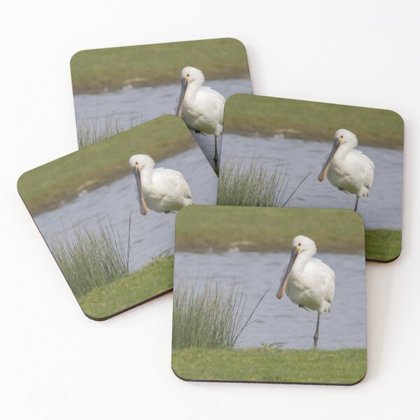 Item preview, Eurasian Spoonbill designed and sold by LaurenTucker.
