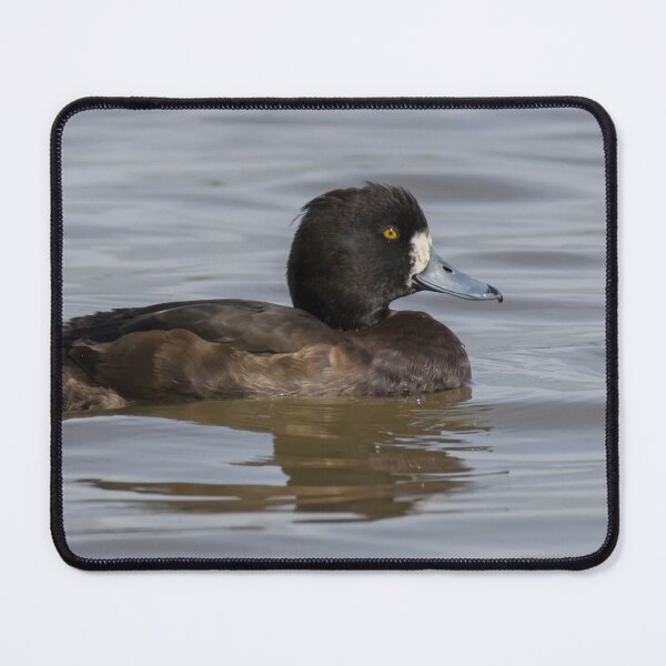 Item preview, Tufted Duck designed and sold by LaurenTucker.