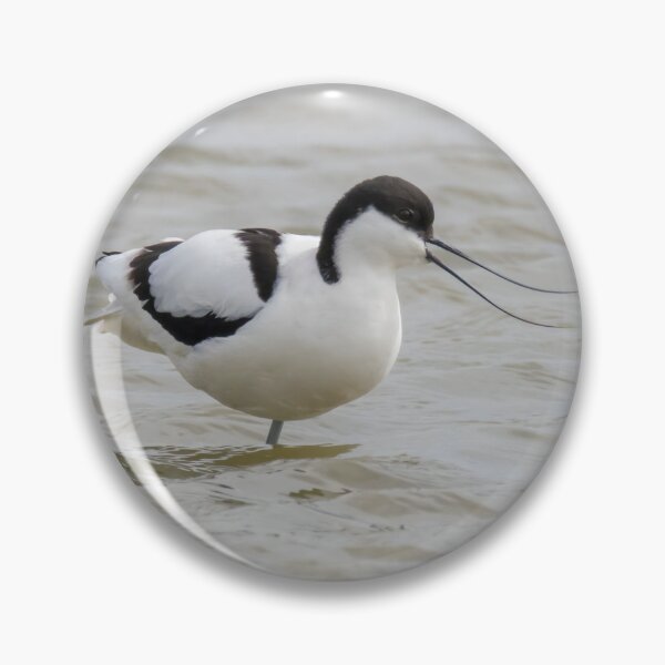 Item preview, Avocet designed and sold by LaurenTucker.